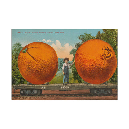 Giant Oranges Art Print