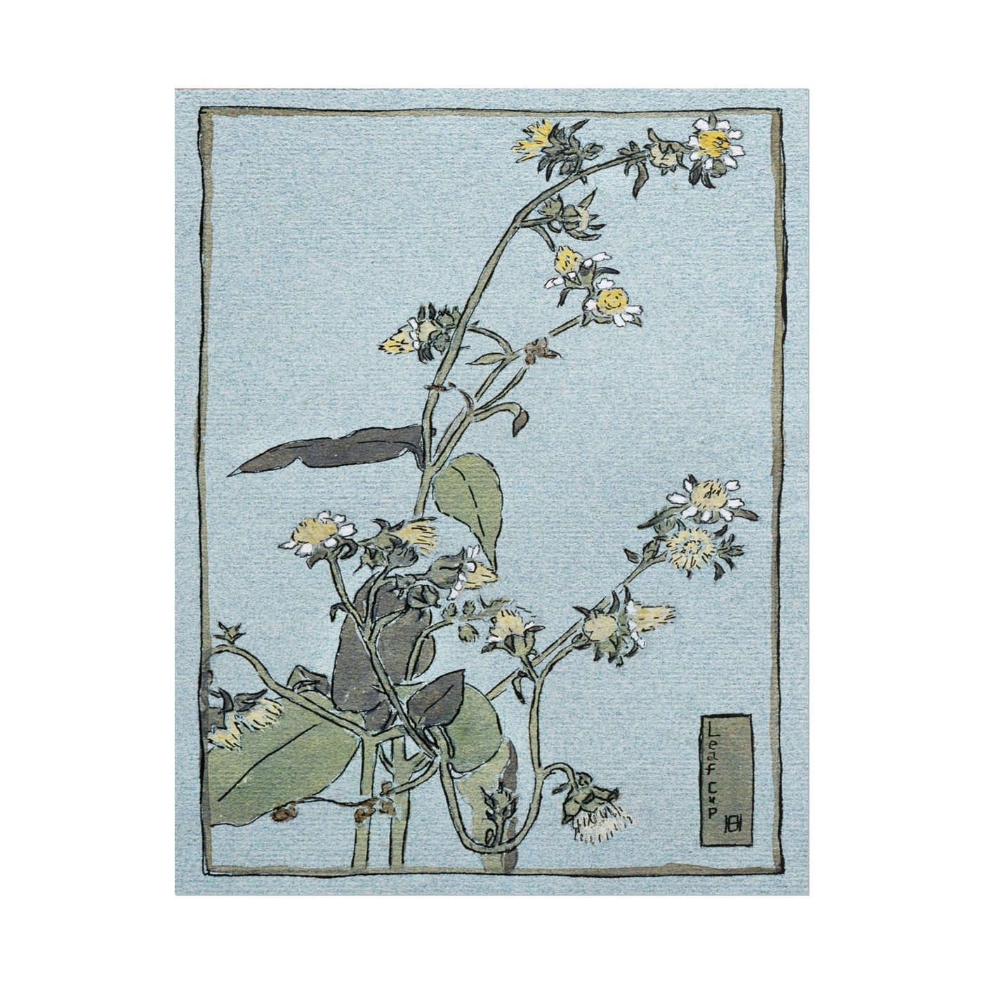 Leaf Cup 11″×14″