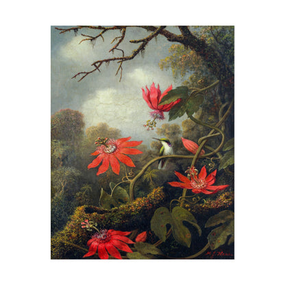 Hummingbird and Passionflowers