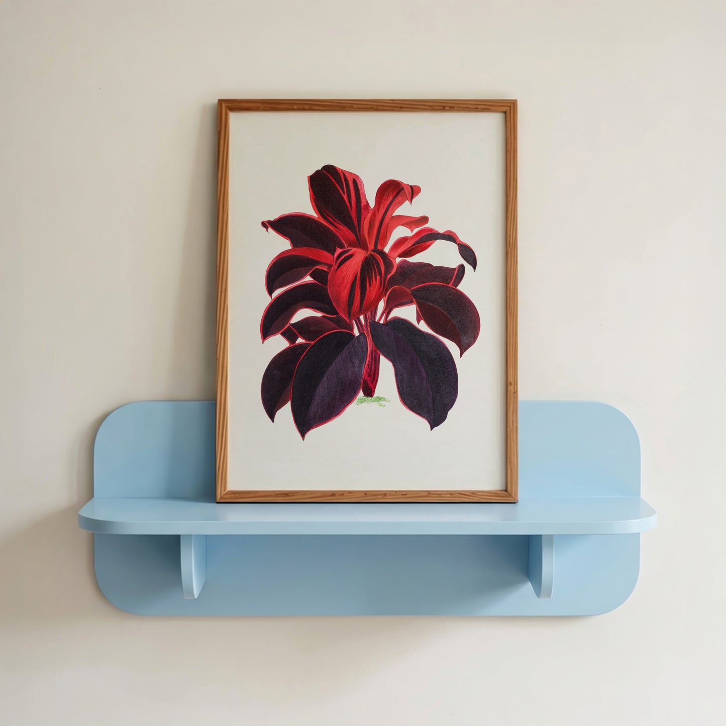 Hawaiian Ti Plant Illustration