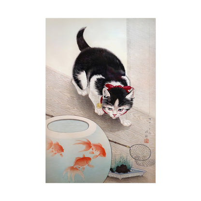 Cat and Goldfish Bowl