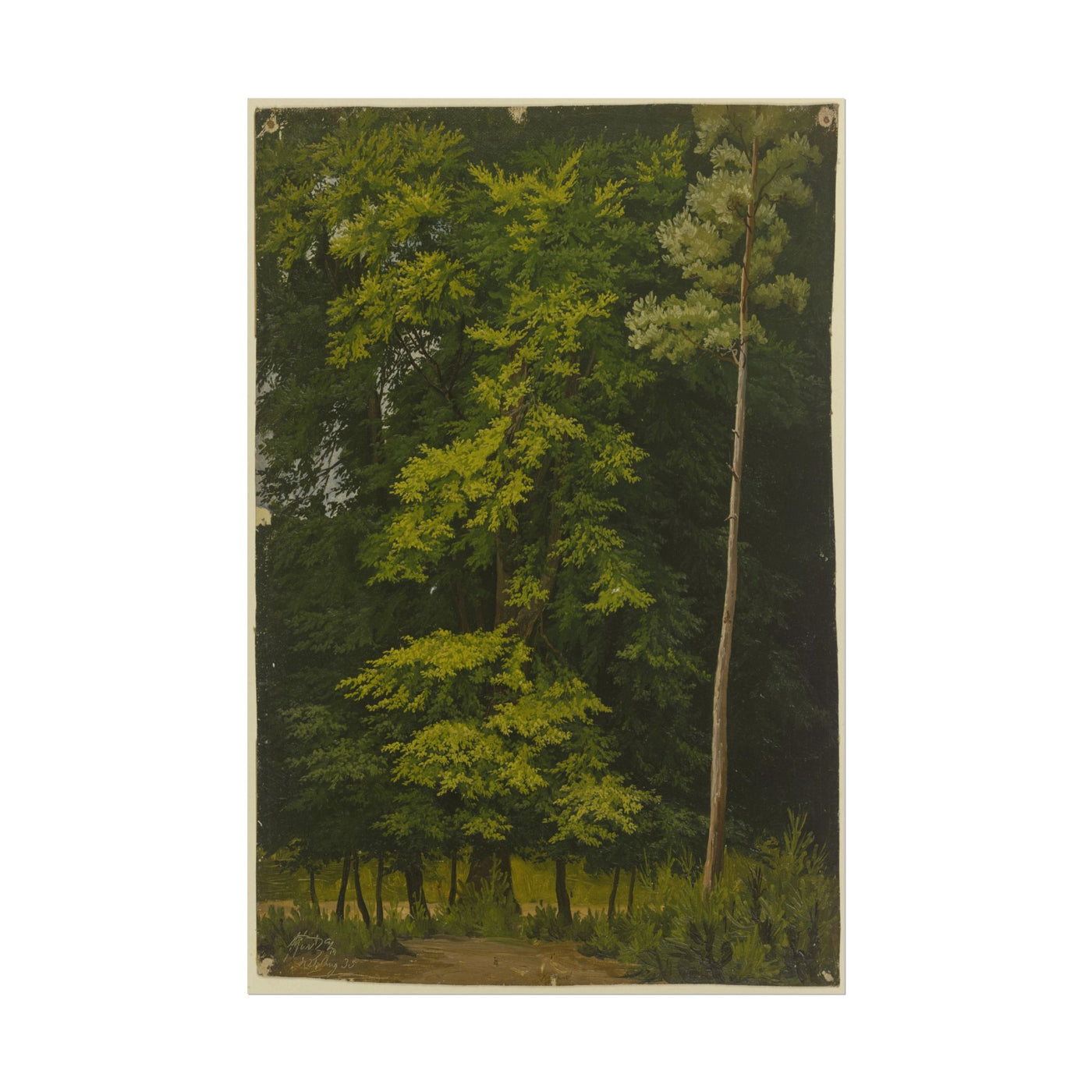 Lush Greenery in Nature 12″×18″