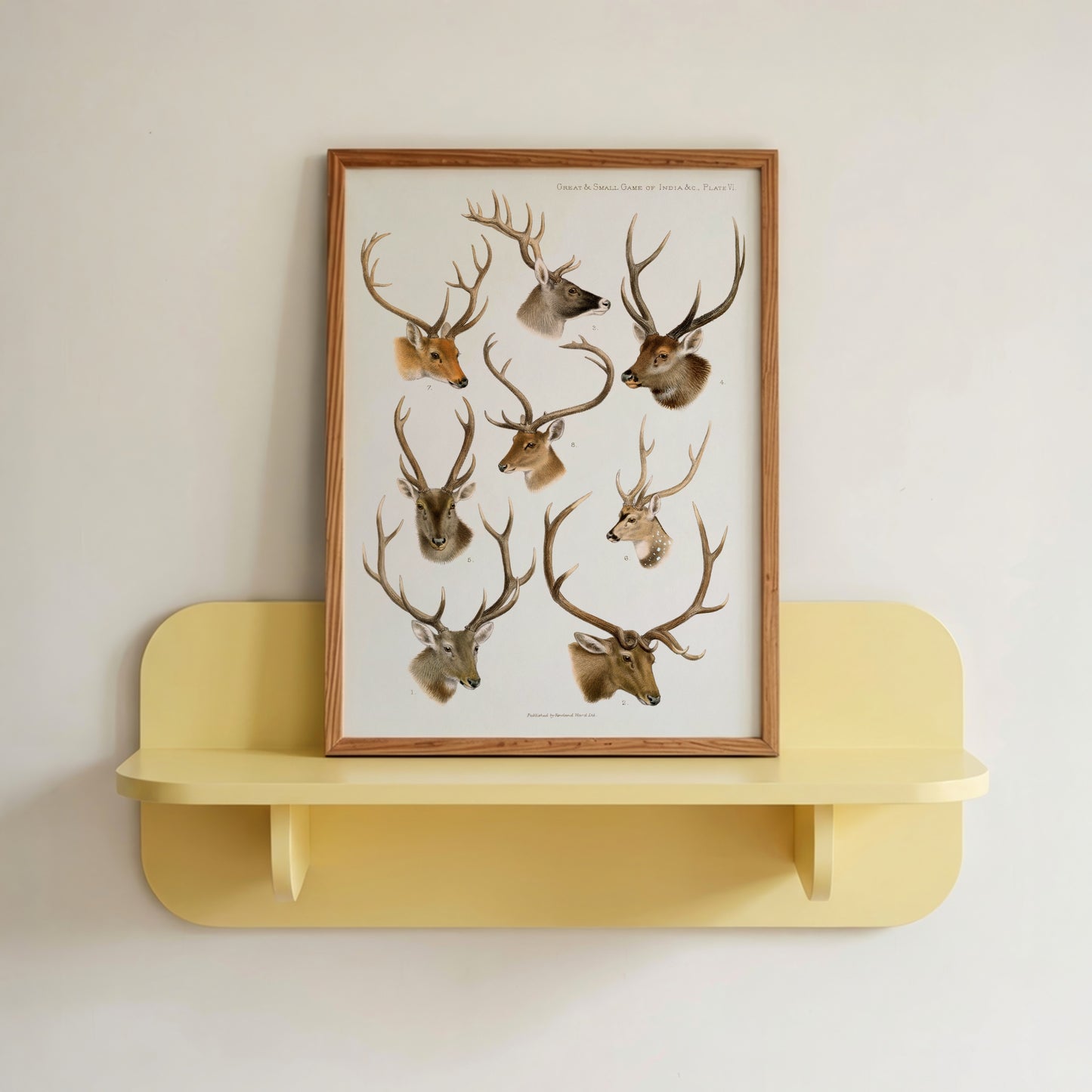 Vintage Wildlife