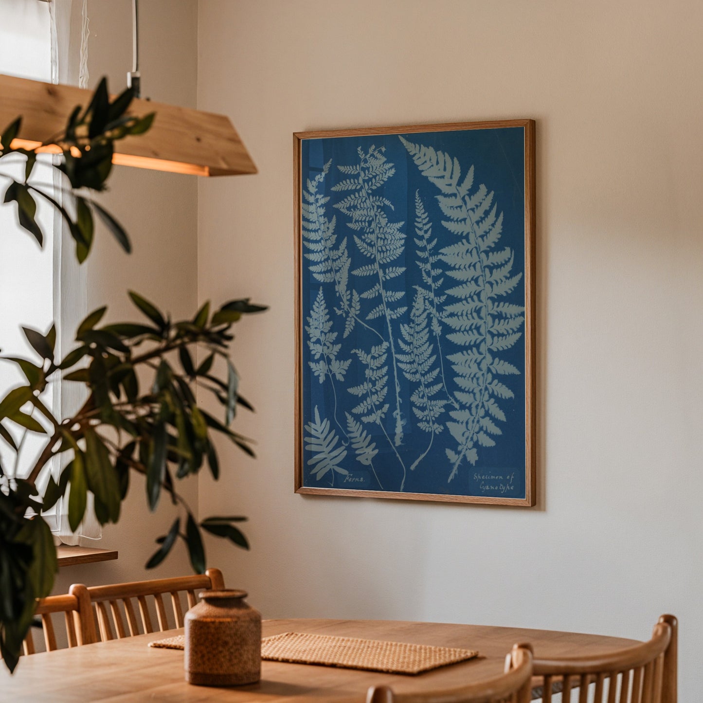 Ferns Cyanotype