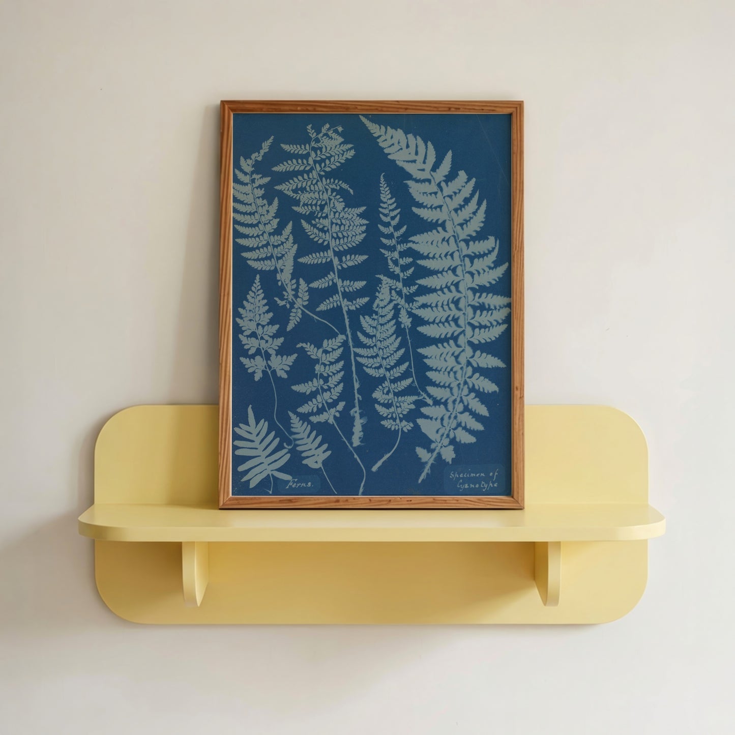 Ferns Cyanotype
