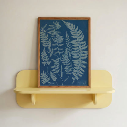 Ferns Cyanotype