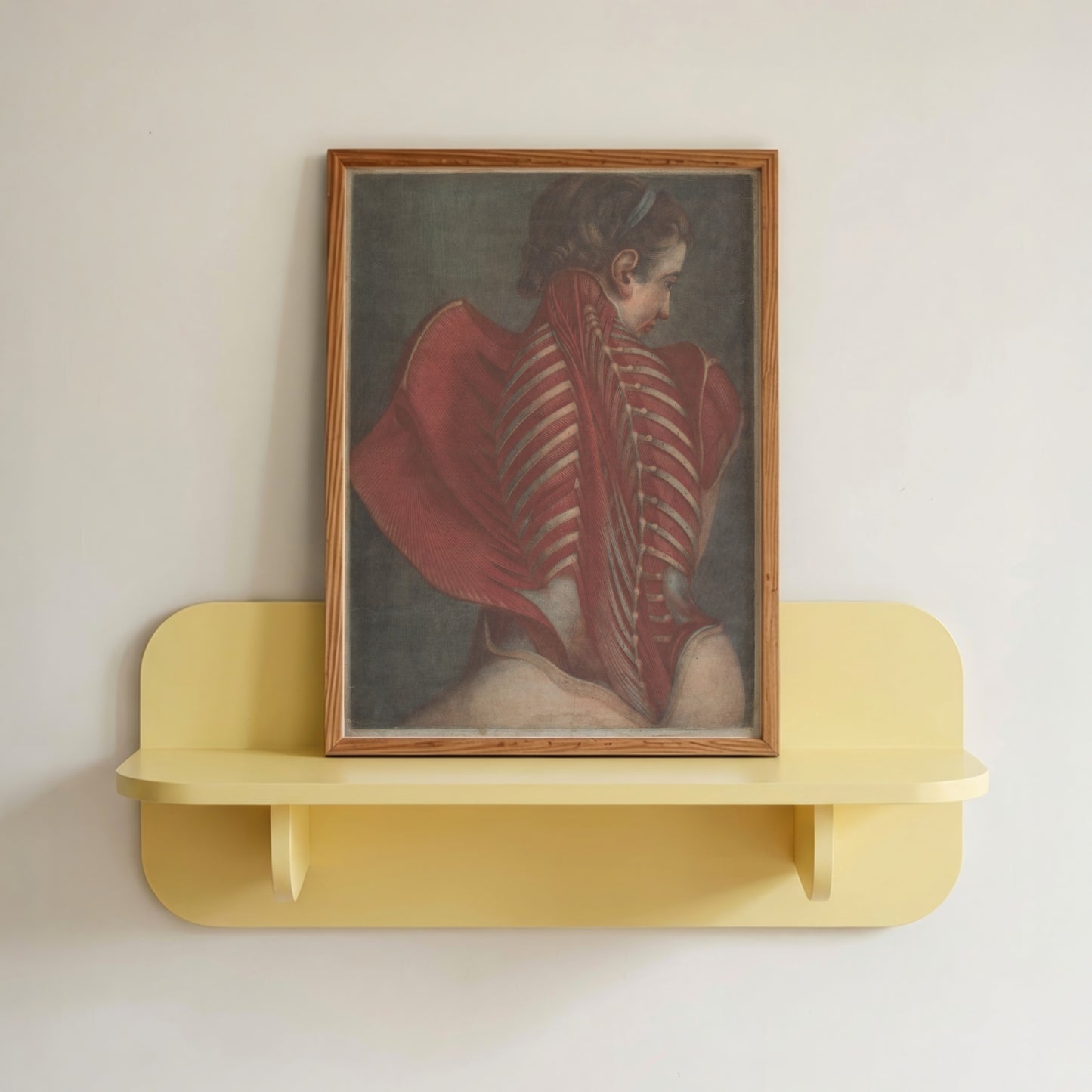 Woman's Back Dissection