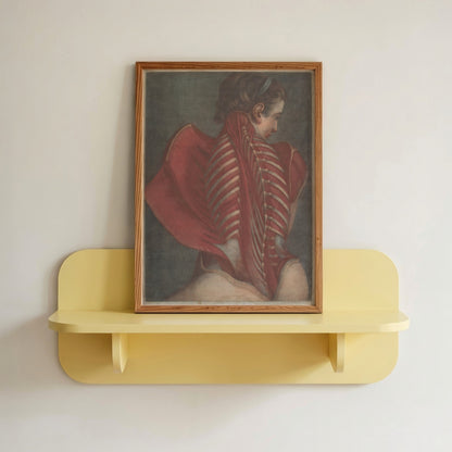 Woman's Back Dissection
