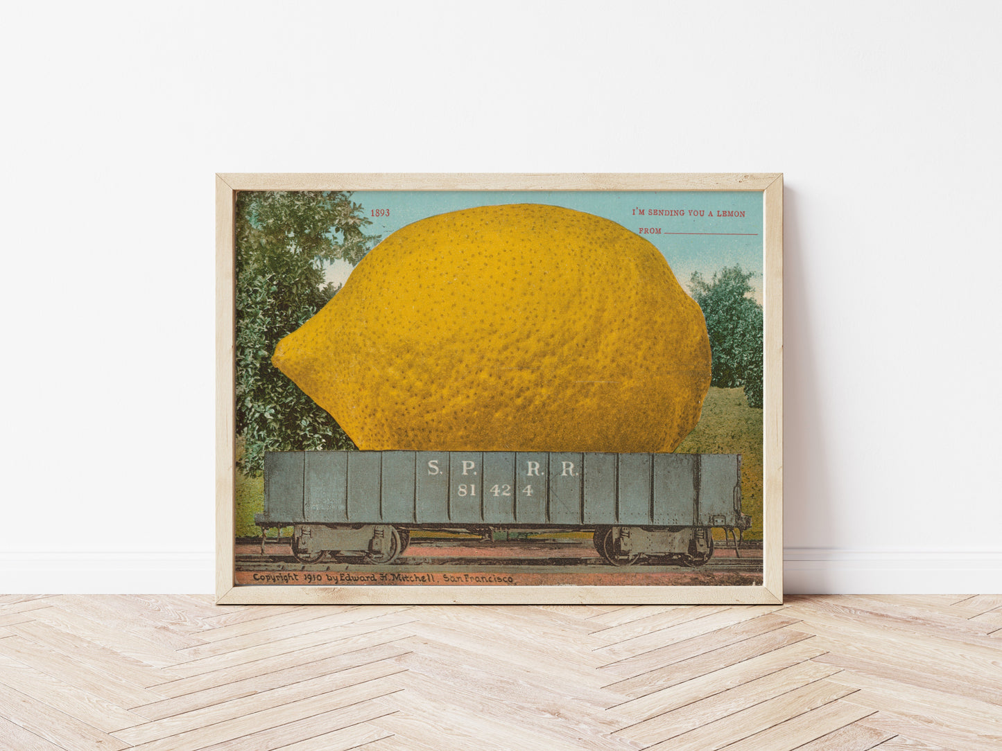 Lemon Postcard