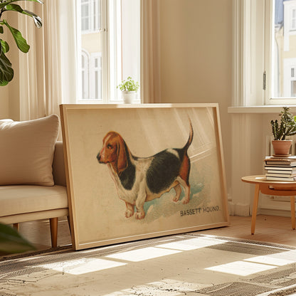 Bassett Hound Illustration