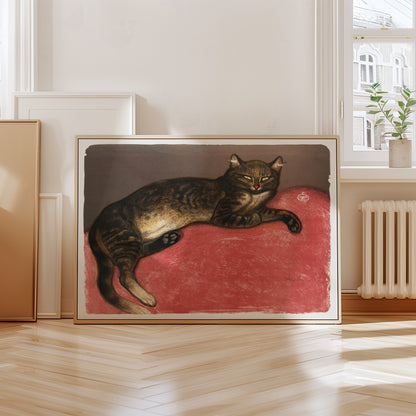 Cat on Cushion