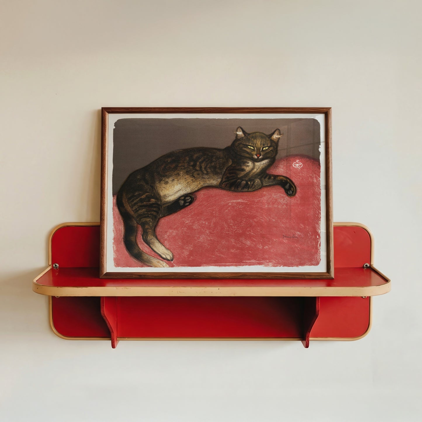 Cat on Cushion