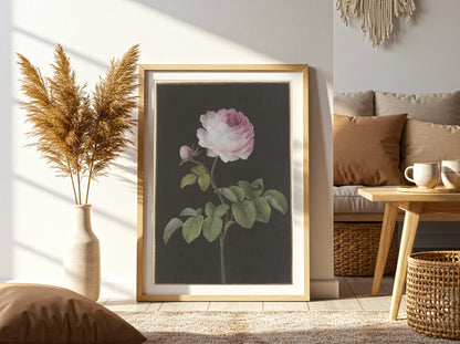 Vintage Rose with Beetle