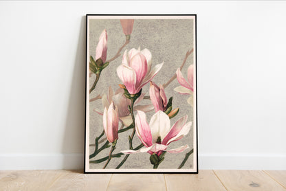 Magnolia Print