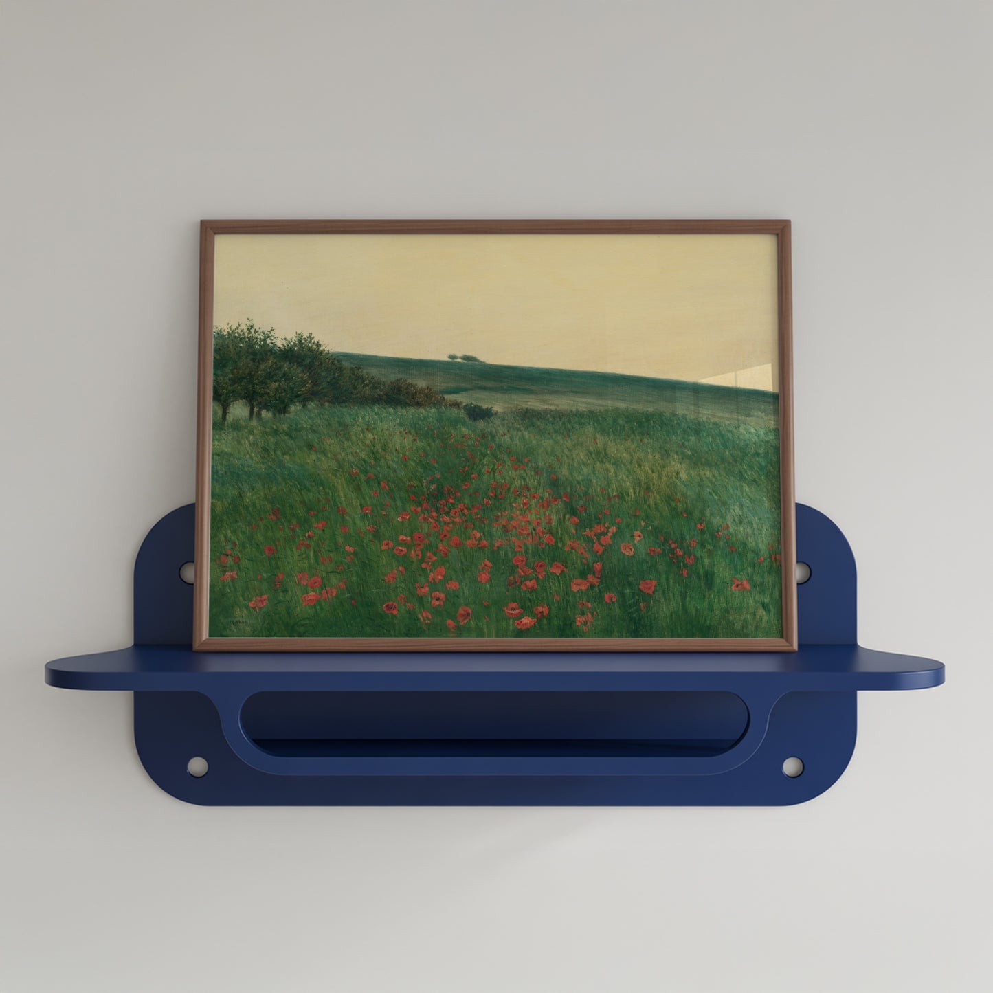 Red Poppies