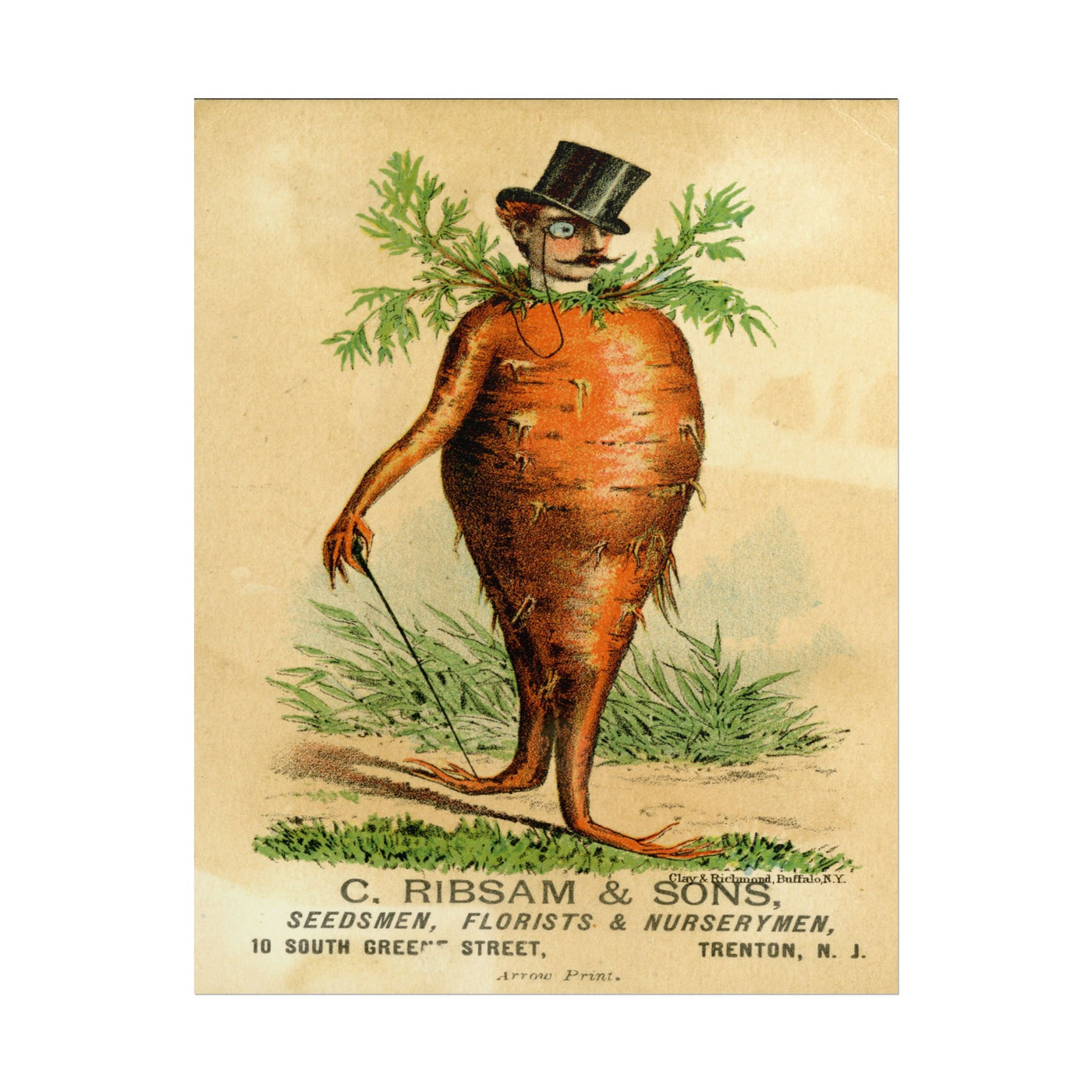 Victorian Carrot Man 11″×14″