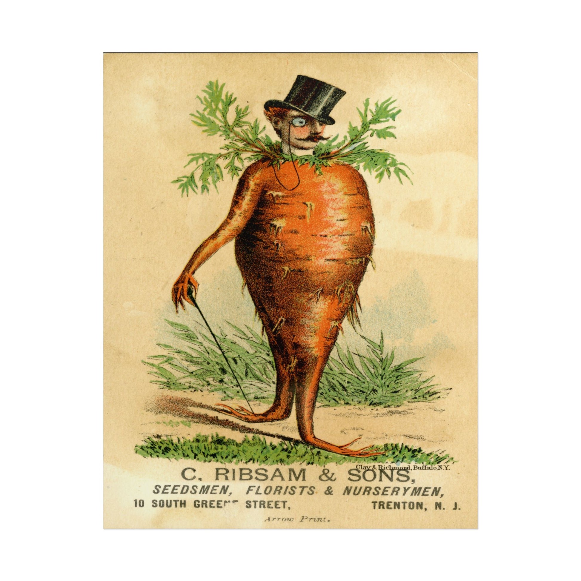 Victorian Carrot Man poster by C Ribsam & Sons  - 11x14 inch print