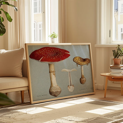 Mushrooms