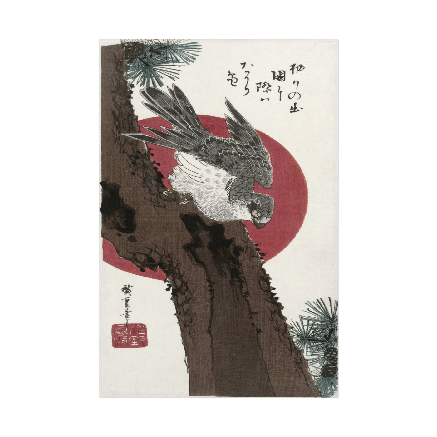 Hawk and Red Sun 12″×18″