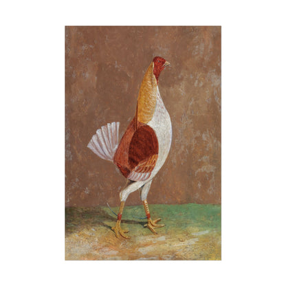 Breasted Fighting Cock