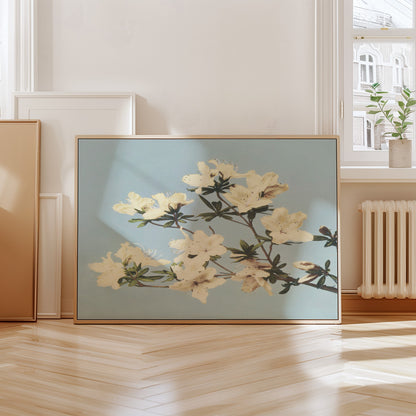 Japanese Azaleas