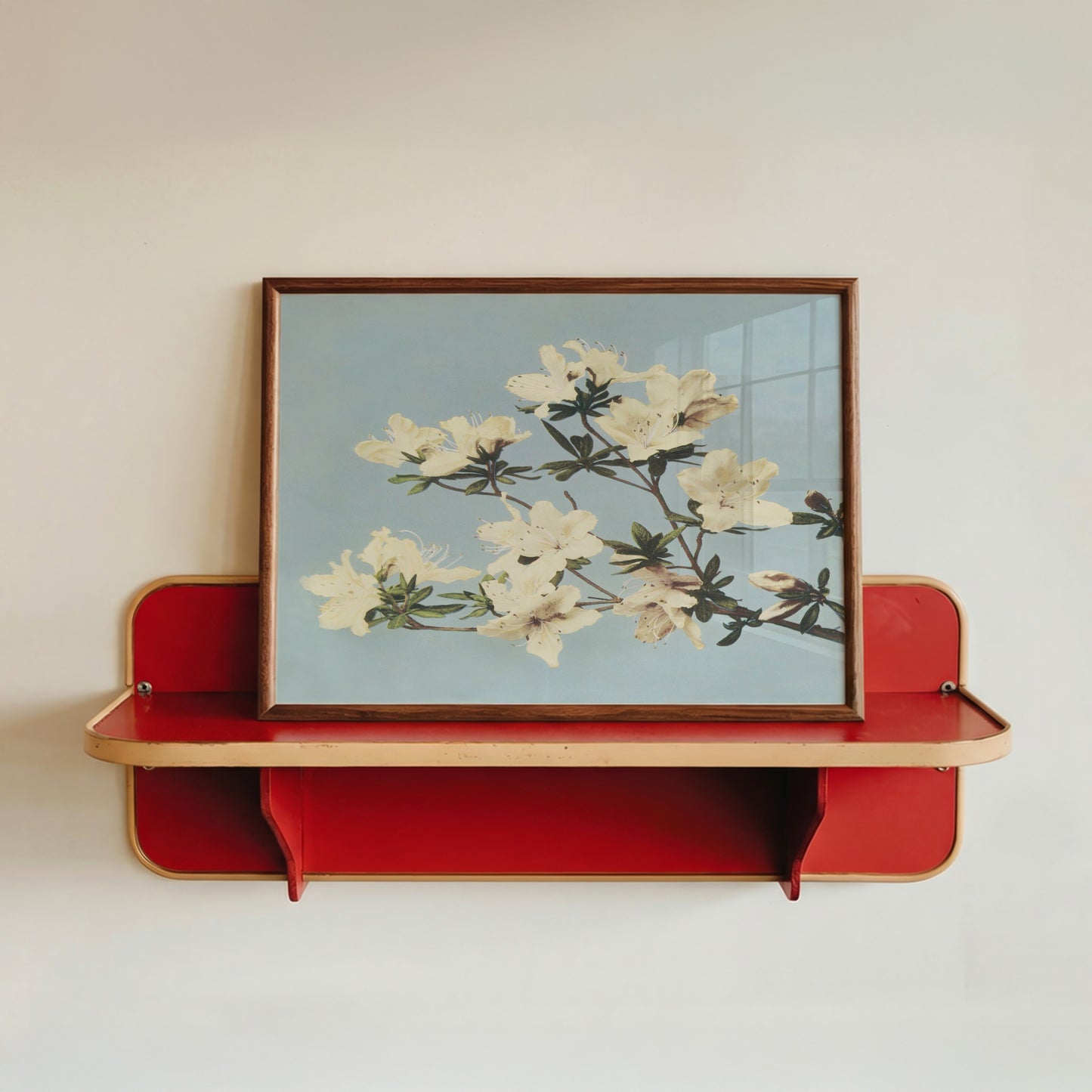 Japanese Azaleas