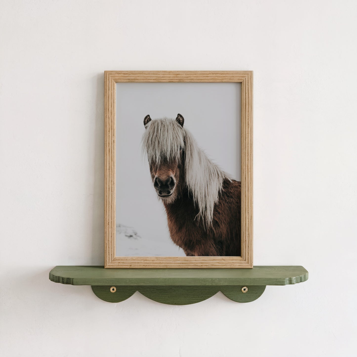 Horse Portrait in Snow