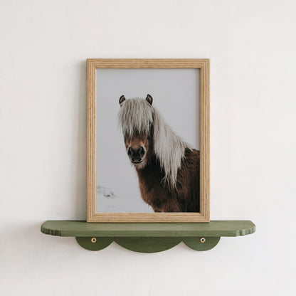 Horse Portrait in Snow