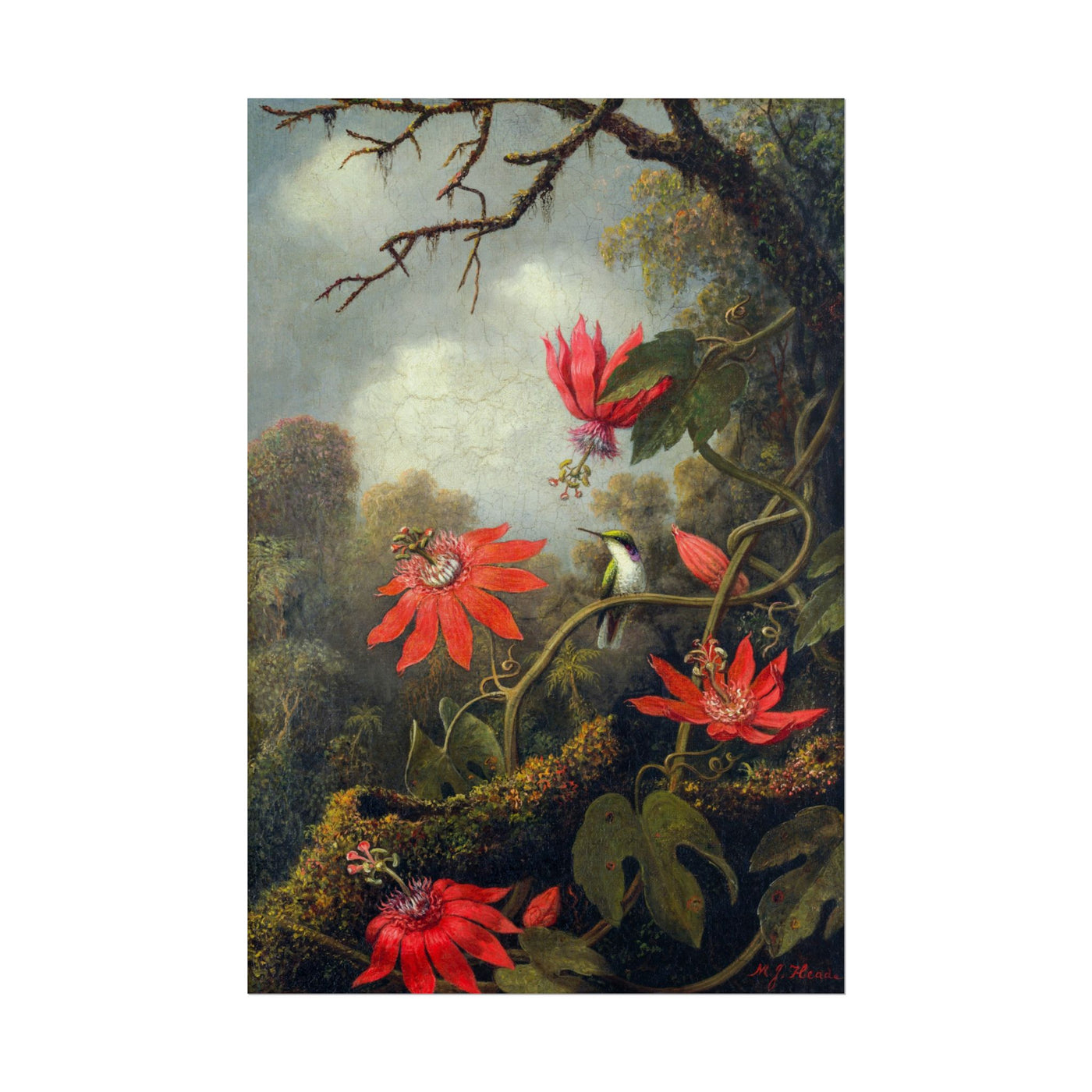 Hummingbird and Passionflowers 12″×18″