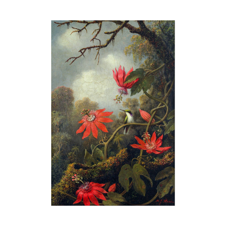 Hummingbird hovering near vibrant passionflowers amidst foliage.