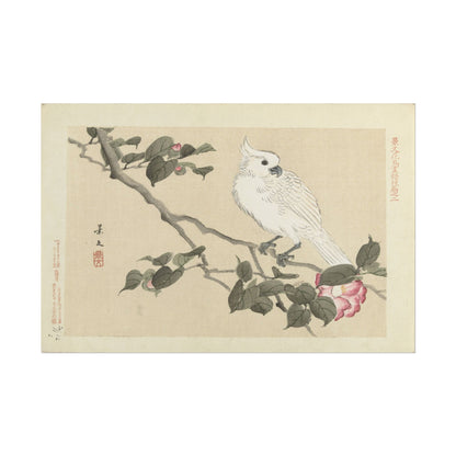 Elegant White Bird Art Print