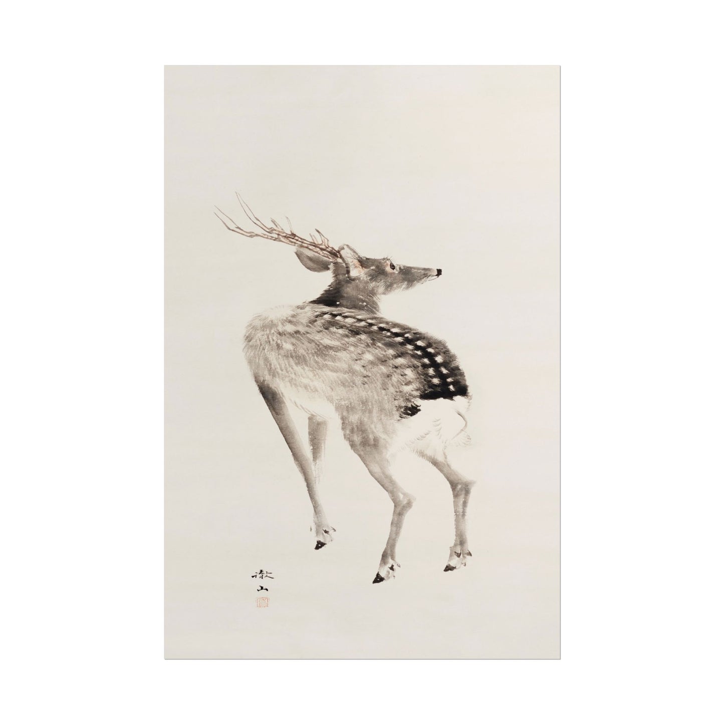 Japanese Stag
