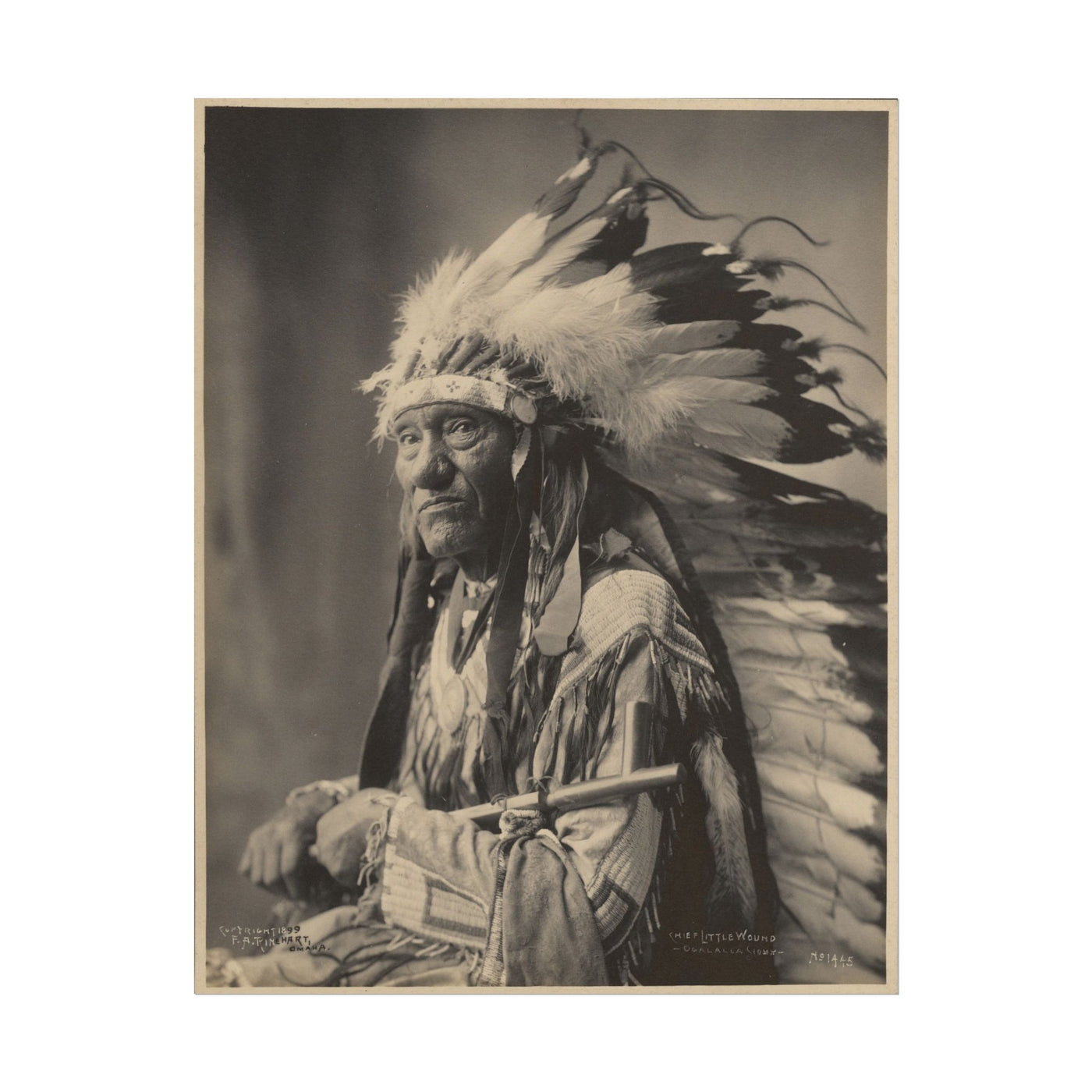 Native American Chief 11″×14″