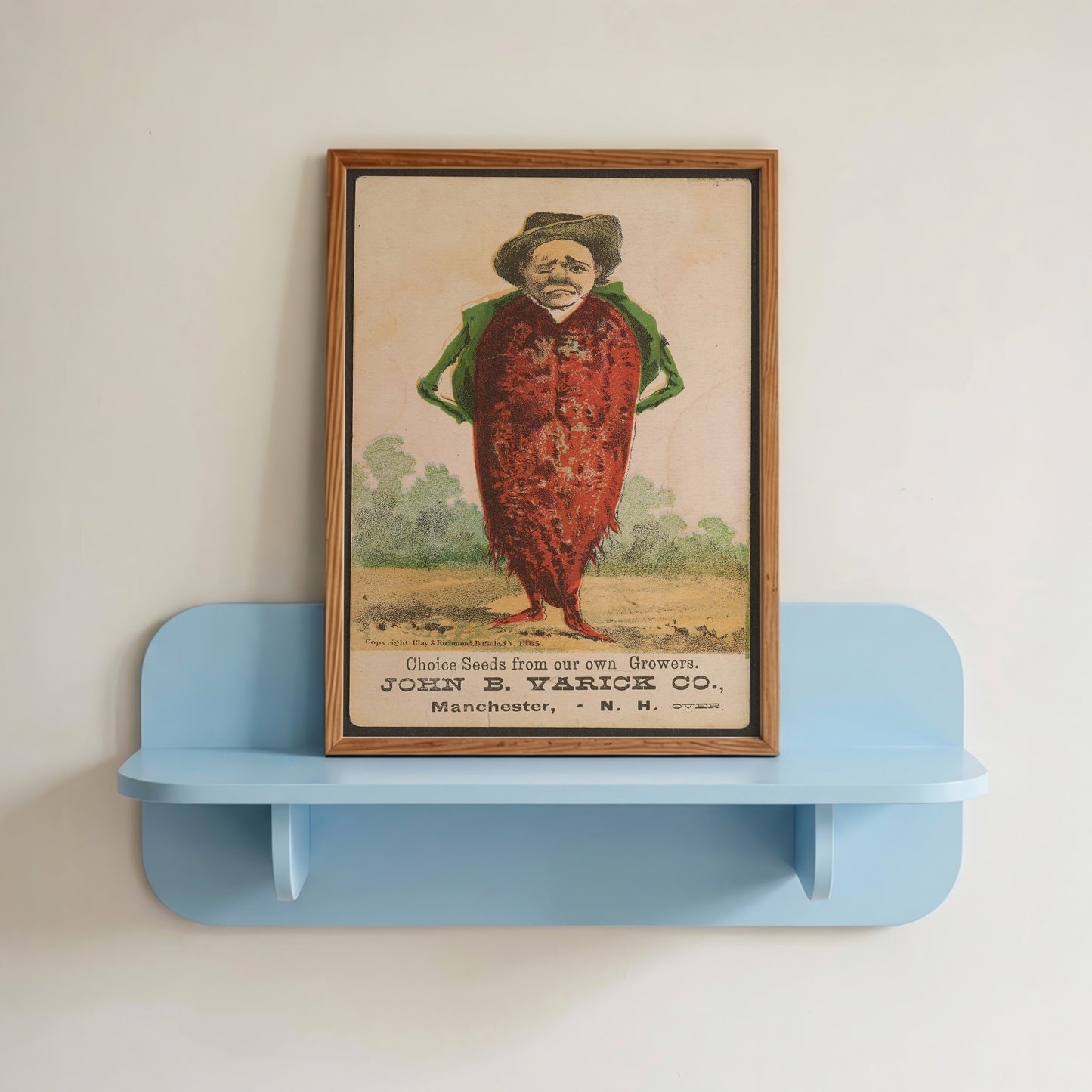 Victorian Beetroot Man