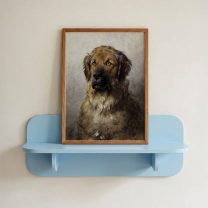 Head of a Leonberger