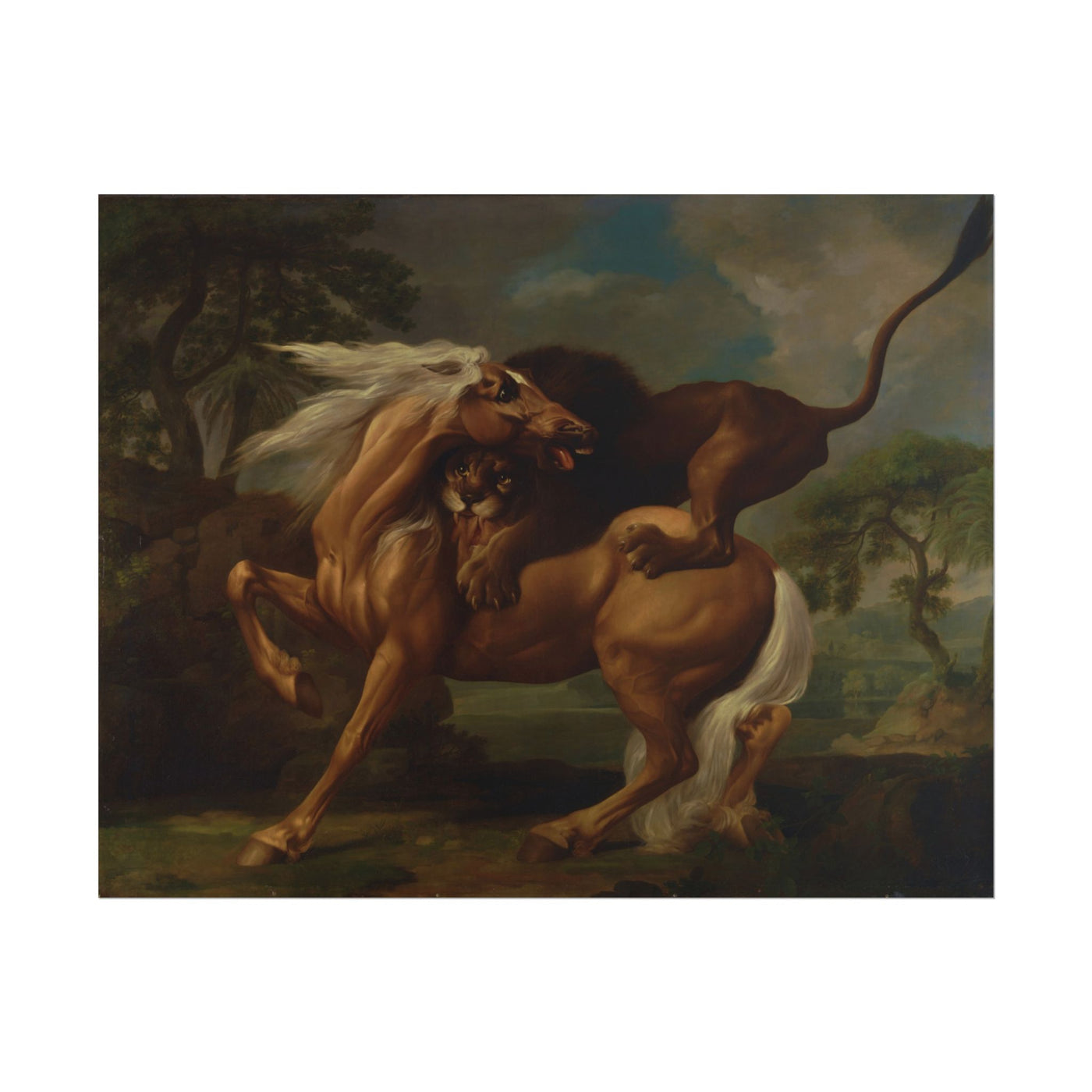 A Lion Attacking a Horse 14″×11″