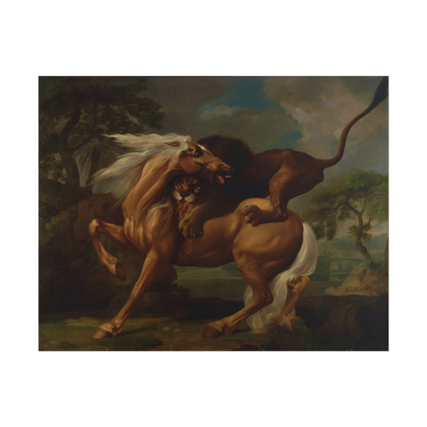 A Lion Attacking a Horse