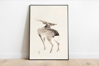 Japanese Stag
