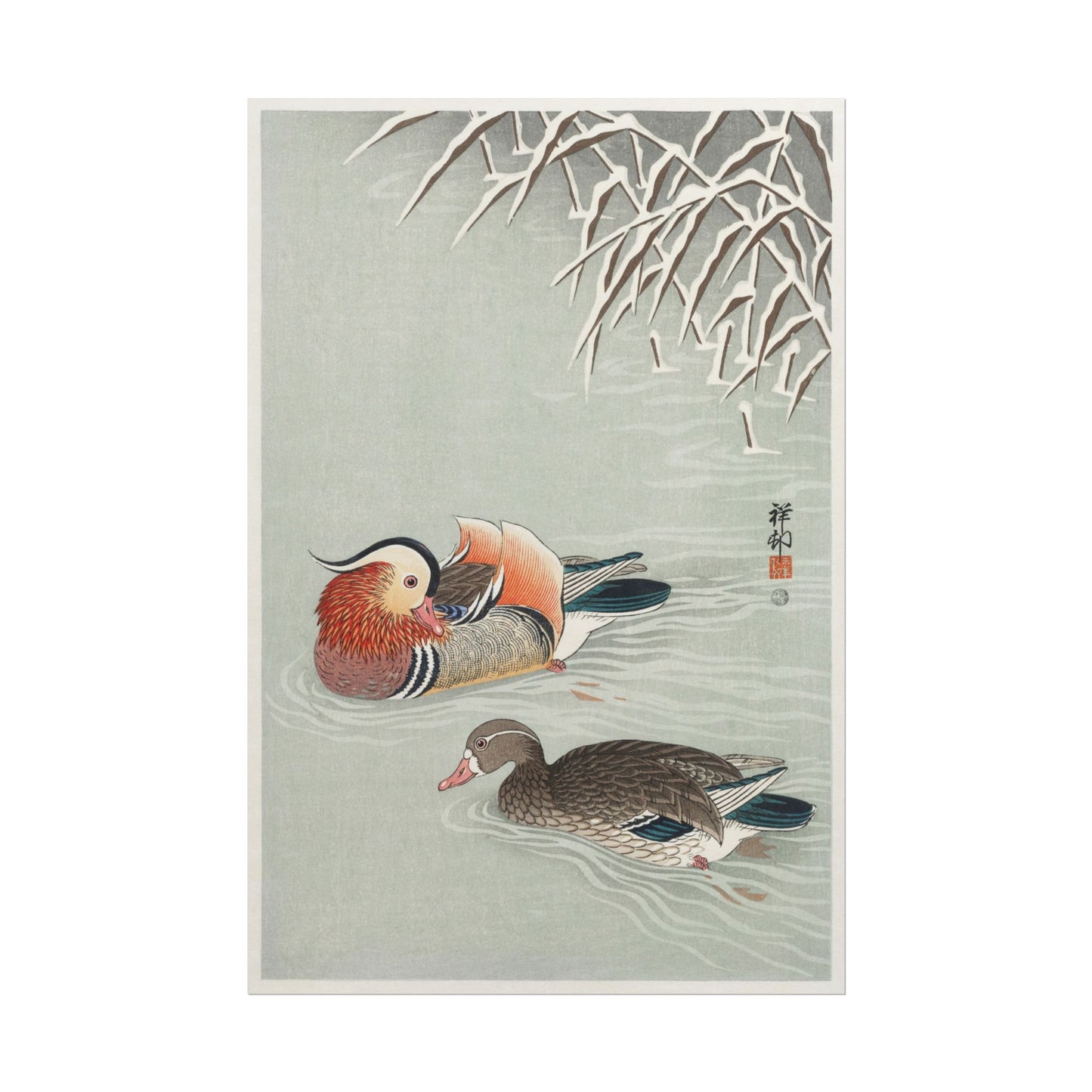 Mandarin Ducks