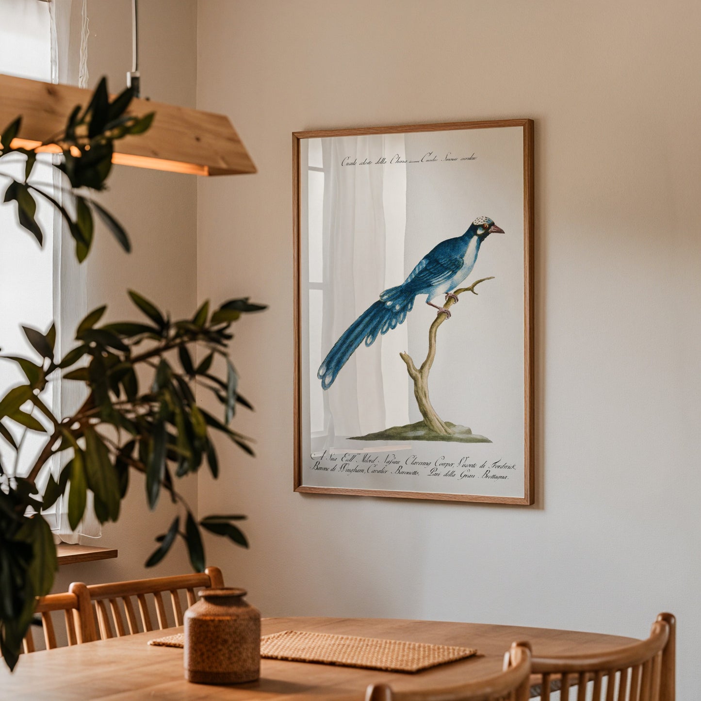 Cuckoo Bird