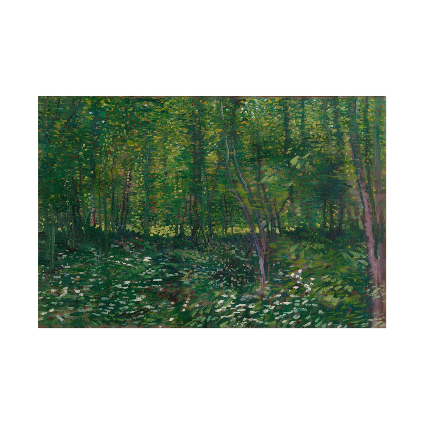 Trees and Undergrowth poster by Vincent Van Gogh  - 20x30 inch poster print