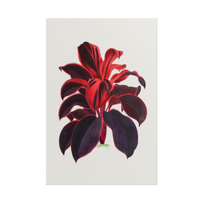 Vibrant illustration of a Hawaiian Ti Plant with bold colors.