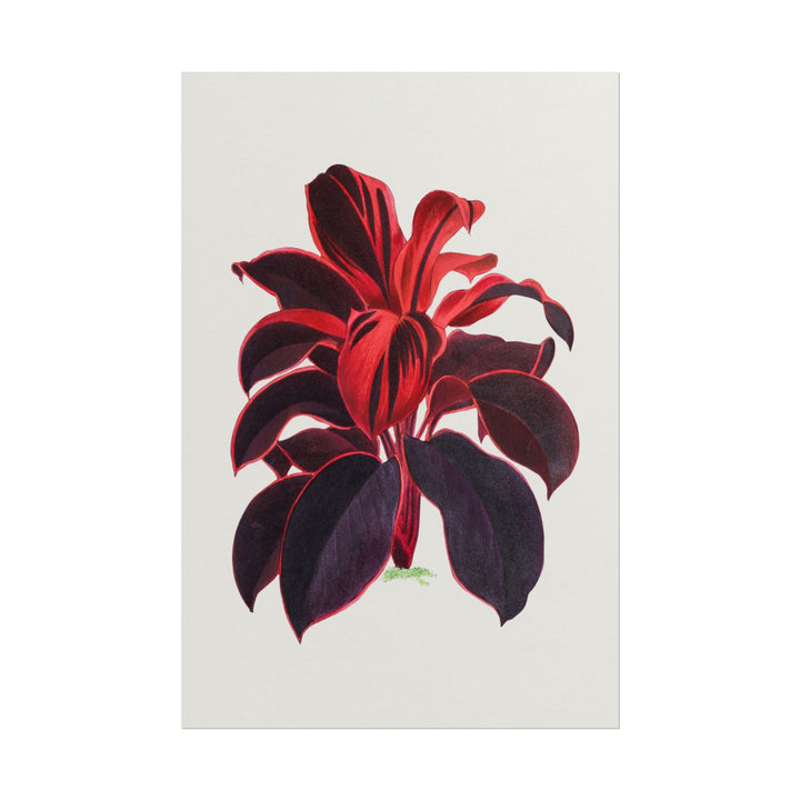 Vibrant illustration of a Hawaiian Ti Plant with bold colors.