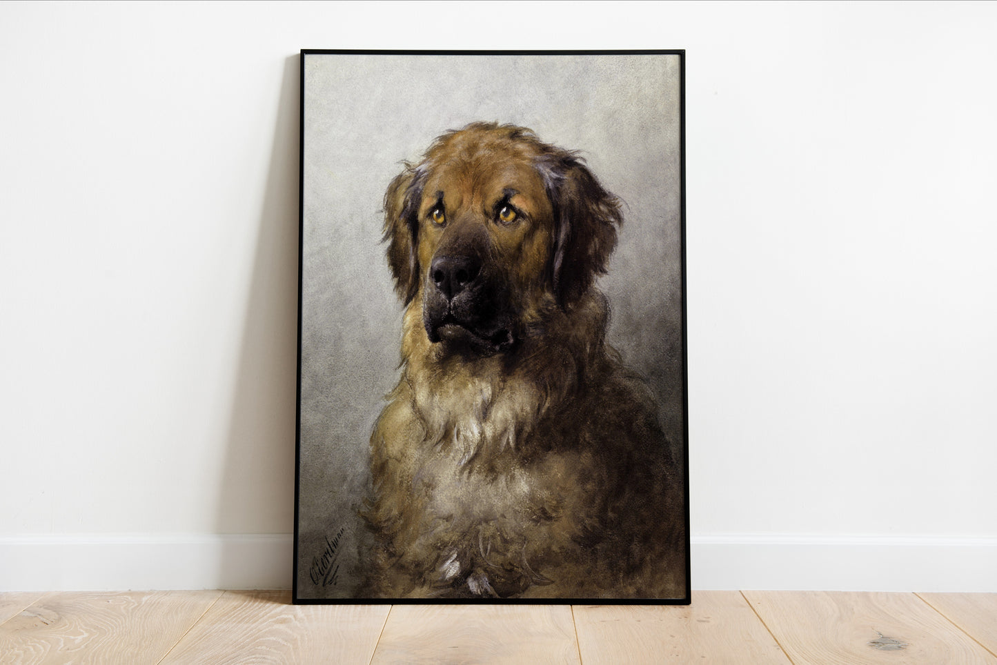Head of a Leonberger