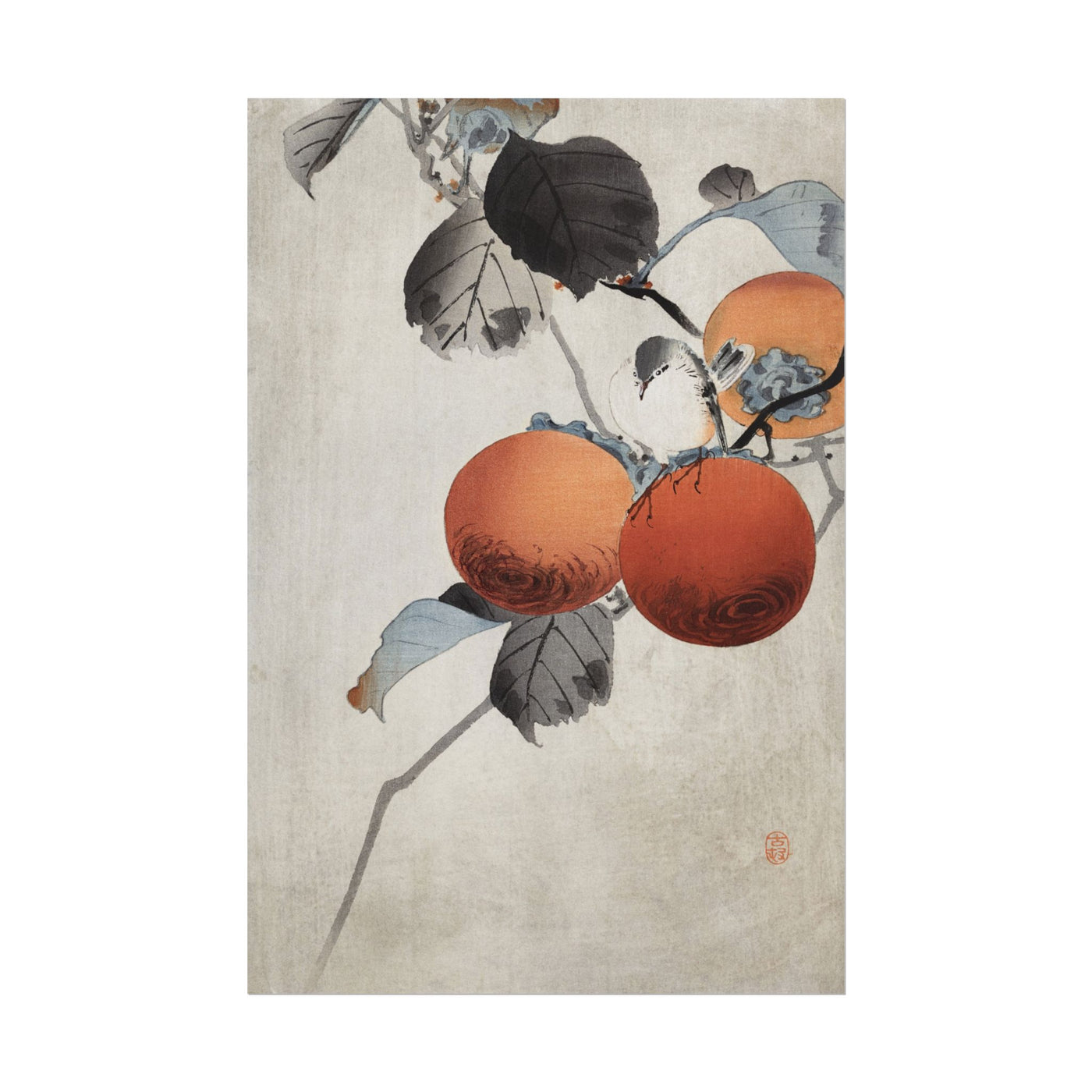 Nuthatcher atop Persimmons 12″×18″