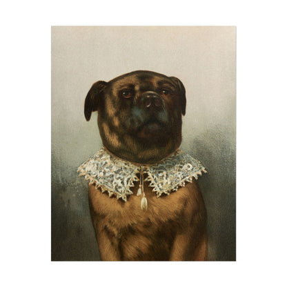 Vintage portrait of a dog wearing an elegant lace collar.