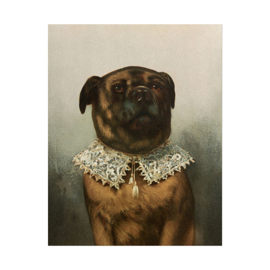 Vintage portrait of a dog wearing an elegant lace collar.