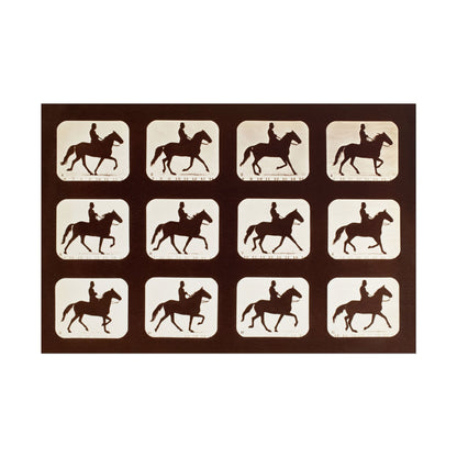 The Amble: One Stride in Eleven Phases