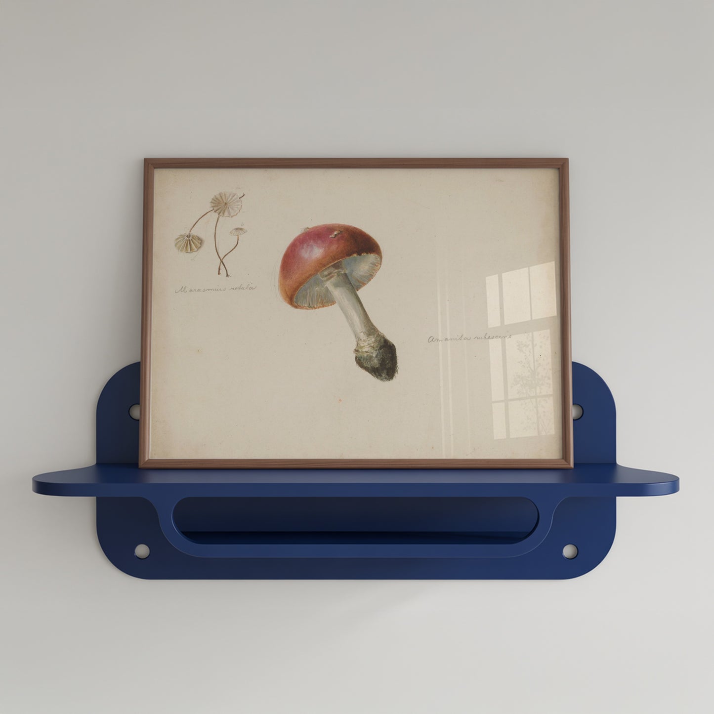Mushroom