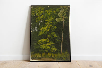 Broadleaf Forest Study